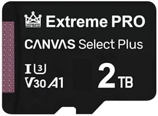 بطاقة ذاكرة 2 تيرا